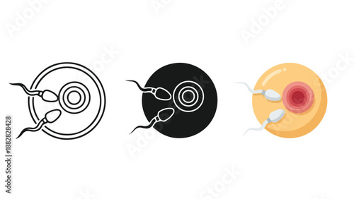 Fertilization process illustration. Flat Design Icon. Vector icon set. Modern style icon. Glyph and solid icon set. Icon vector. line icon set. Clipart