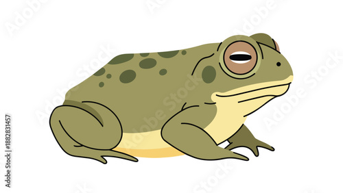 A captivating simple cartoon illustration featuring a sleepy green toad with distinctive spots, resting serenely against a pure white backdrop,