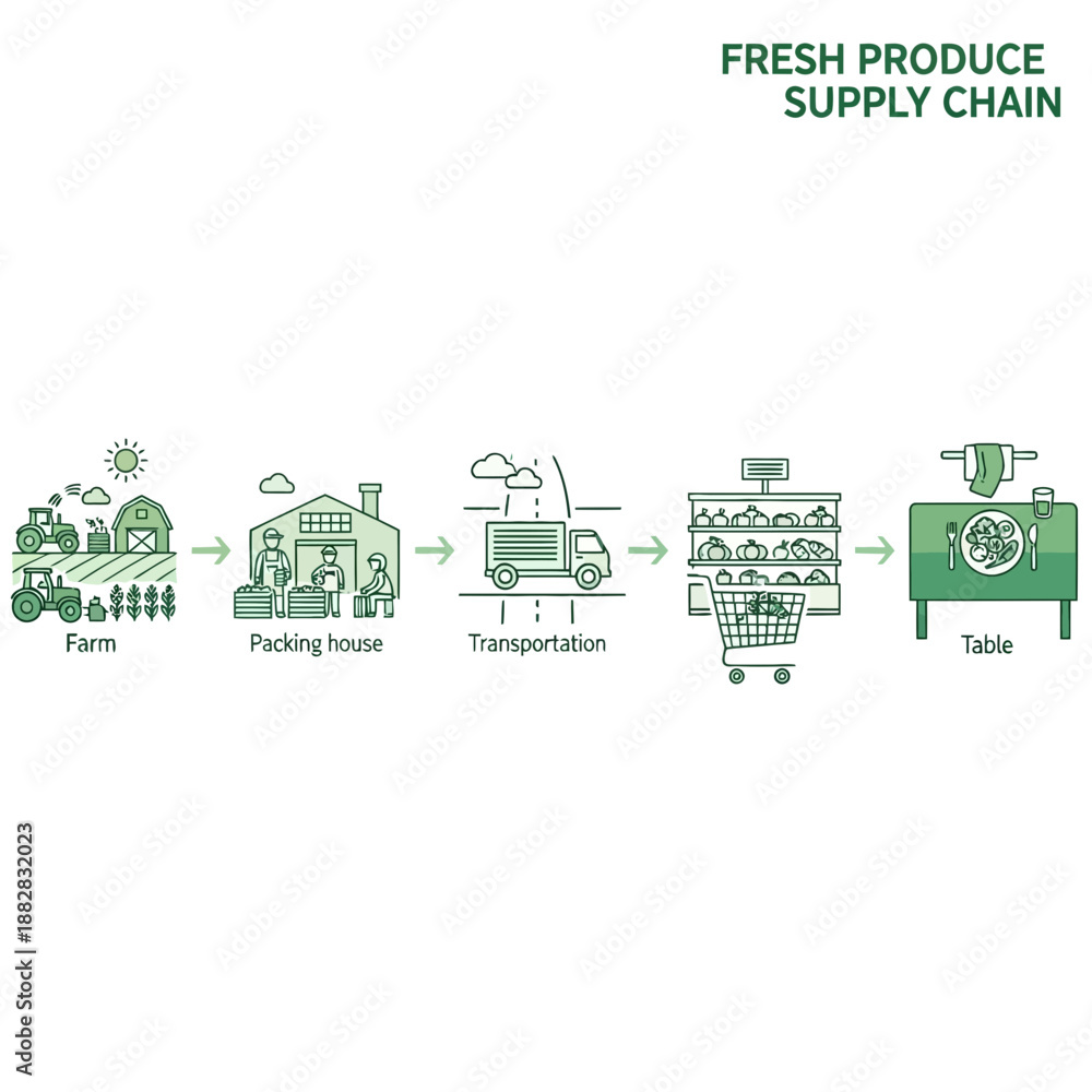 Fototapeta premium Depicting Fresh Produce Supply Chain: From Cultivation to Consumer Consumption, a Visual Overview