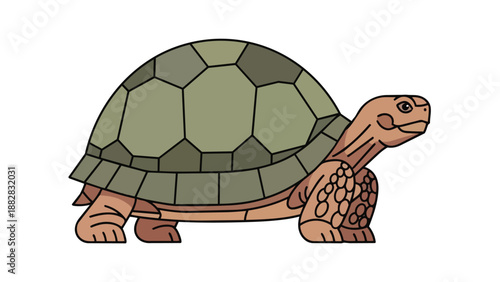 A delightful cartoon illustration of a land tortoise with its distinct green shell and brown body on a plain white backdrop conveying gentle