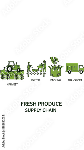 Depicting Fresh Produce Supply Chain: From Harvest to Transport for Adobe Stock