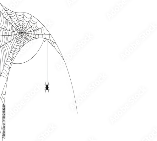 A delicate spiderweb with a small spider hanging from a silken thread minimalist design