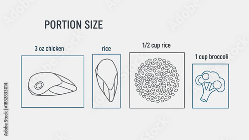 Dietary Portion Illustration: Chicken, Rice, Broccoli, and Serving Size Visuals