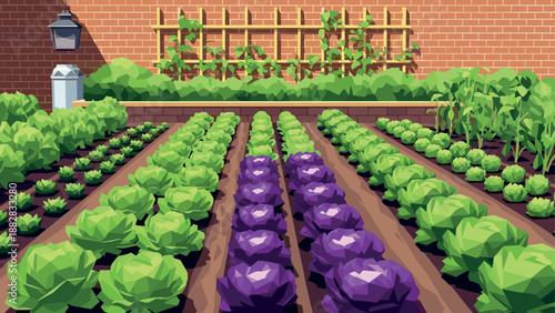 Geometric vegetable garden with lush greens and purple cabbage