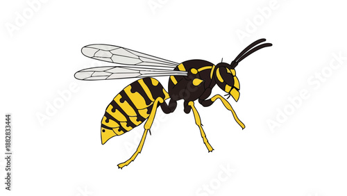 Striking yellow and black wasp illustration capturing its distinct form with graphic simplicity