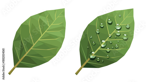 Polygon leaves with water droplets: nature-inspired geometric art