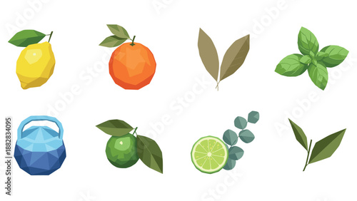 Geometric citrus and herbal elements in polygonal art style