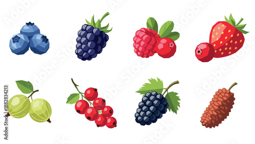 Colorful selection of berries on white background in flat style
