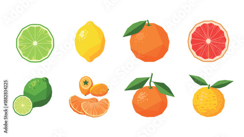 Geometric citrus collection: lime, lemon, orange, grapefruit, and more
