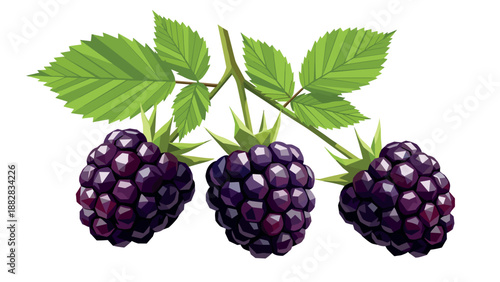 Vibrant geometric blackberries with leaves on white background