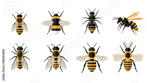 Collection of bees and wasps in flat geometric style on white background
