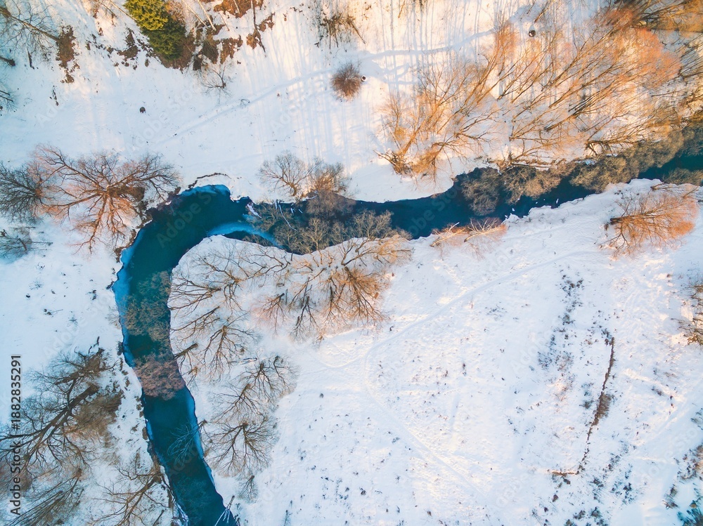 Fototapeta premium A Serene Aerial View of a Meandering River Surrounded by Snow-Covered Trees in Winter