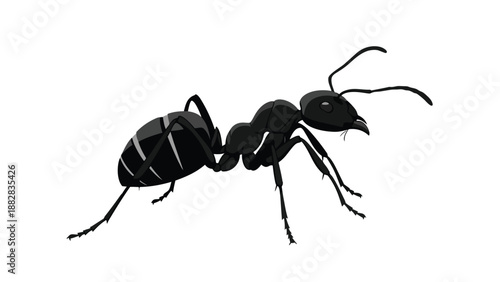A detailed vector illustration portraying a solitary black ant against a clean white background, showcasing its intricate insect anatomy and elegant