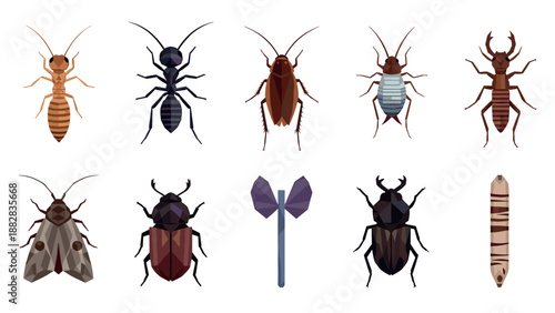 Geometric insect collection: stylized beetles, ants, wasps, and more in a flat design