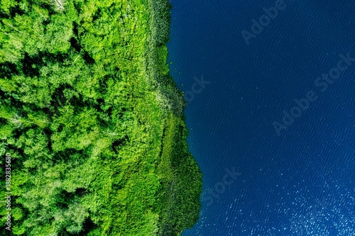 Wallpaper Mural Aerial View of Lush Green Forests Meeting Sparkling Blue Waters in Nature's Serenity Torontodigital.ca