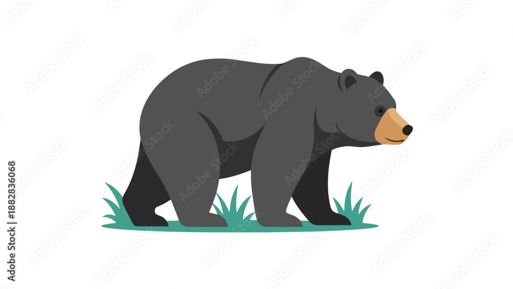 Fototapeta premium Modern vector illustration of a black bear on grass, animal graphic for digital applications and wildlife themes
