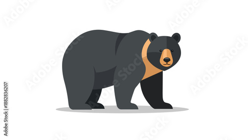 Striking flat design illustration of a powerful dark bear with a distinctive amber chest marking, standing boldly.