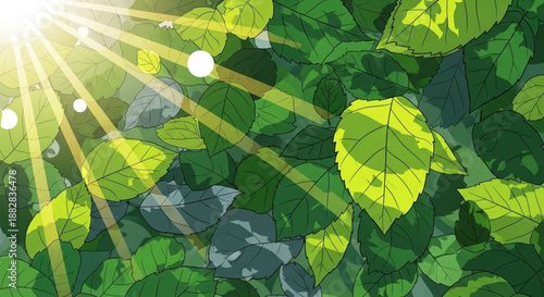 Vibrant green leaves with sunlight shining through creating a natural ambiance with dew drops on foliage