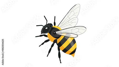Stylized honeybee illustration featuring bold black and yellow stripes delicate transparent wings and six legs vital for pollination in ecosystems
