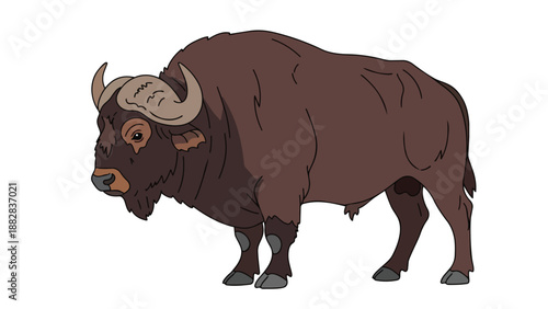 Robust cartoon bison illustration with textured fur and curved horns on white background