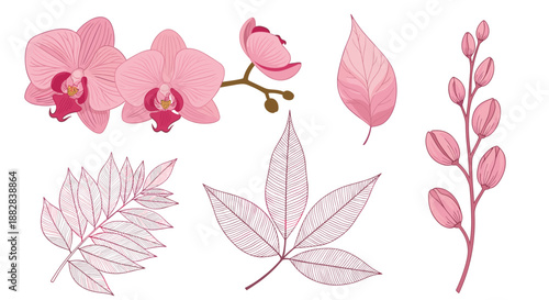 Set of beautiful pink orchid flowers and various leaf sketches in a hand-drawn style for botanical designs and floral arrangements.