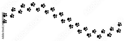 Set of minimalist paw print icons with transparent background, depicting animal tracks for pet-related designs, navigation paths, and wildlife themes, vector illustration