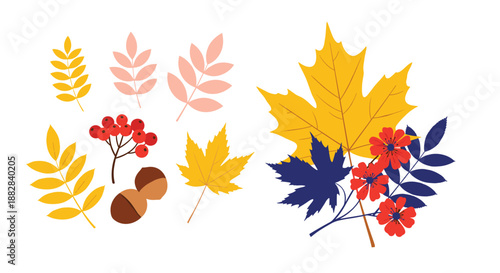 Beautiful autumn composition featuring colorful maple leaves, rowan berries, acorns, and fall flowers in vibrant seasonal shades.