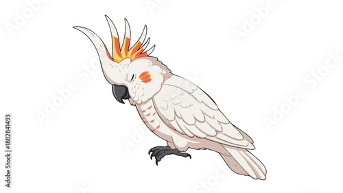 A delightful illustrated white cockatoo peacefully resting with its vibrant yellow and orange crest prominently displayed on a clean white