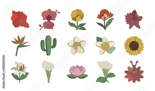 Latin American flowers line icons vector set with editable stroke for branding design
