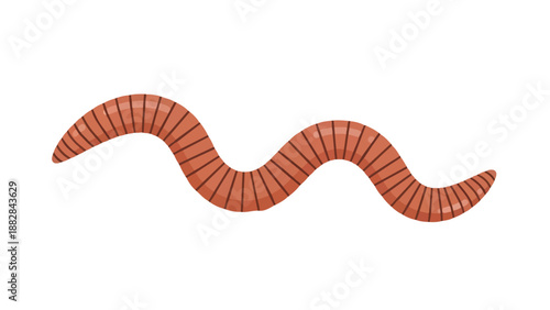 Vibrant earthworm illustration gracefully coiling and extending its segmented form on a pristine white background ideal for nature themed designs