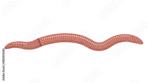 Precisely rendered stylized earthworm illustration capturing its segmented body and natural motion. Essential for soil health and vital educational