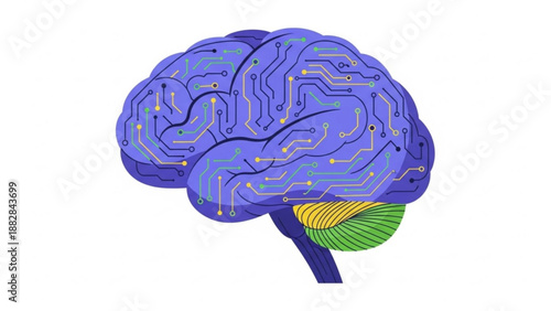 A colorful vector graphic illustration of a brain with circuit board design