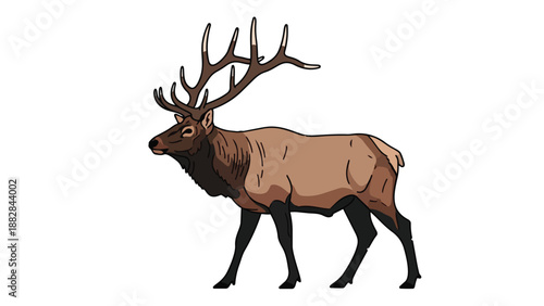 Majestic illustration of a powerful brown elk with impressive antlers standing proudly on a clean white background showcasing its wild beauty and