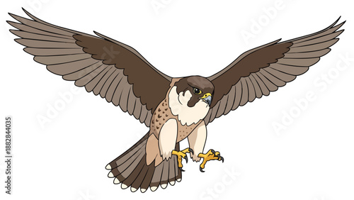 Dynamic illustration of a powerful raptor with broad wings spread wide, showcasing its determined gaze and readiness for action, embodying speed and