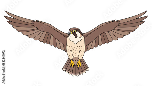 Majestic cartoon peregrine falcon illustration showcasing its powerful wingspan while soaring gracefully in an expansive sky, a true symbol of
