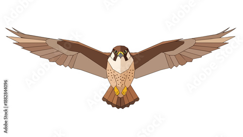 Stylized soaring raptor artwork in flight illustration with spread wings.