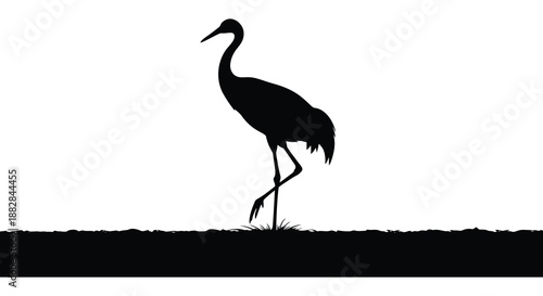 a striking black silhouette of a tall crane bird standing gracefully on a grassy land against a bright white background silhouette