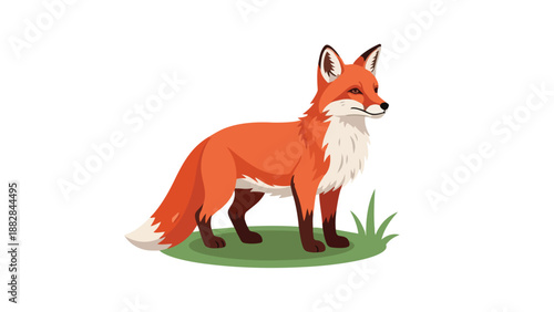 Vibrant cartoon red fox standing on grass with distinctive white fur