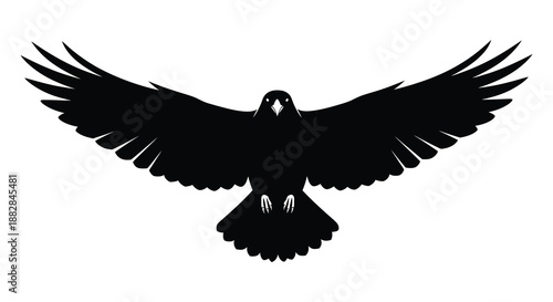 a striking black bird with expansive wings detailed feathers and sharp eyes presented as a dramatic silhouette high quality professional modern