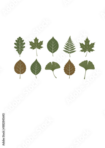 Tactile Nature Leaf Silhouette, Hand Drawn Organic Texture, Imperfect Design and Analog Ecology Concept Vector Illustration