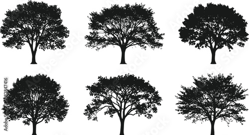 Black oak tree silhouette set, detailed leafy canopies and natural shapes, isolated botanical forest elements, elegant nature vector illustration collection for design use
