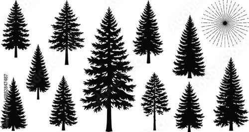 Black pine and fir tree silhouette set, evergreen forest elements with sunburst, minimalist nature vector collection for winter, outdoor, and landscape design