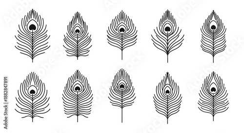 Curated Collection of Exquisite Peacock Feather Silhouettes, Symbolizing Elegance and Natural Grandeur, Ideal for Diverse Artistic and Design Applications