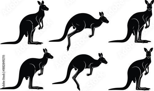Set of kangaroo silhouettes in different poses, black Australian marsupial collection isolated on white background for wildlife design, logo, poster, and nature projects.