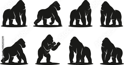 Gorilla silhouette set in different poses, black wild primate icons collection for safari and zoo design, powerful animal vector isolated on white.