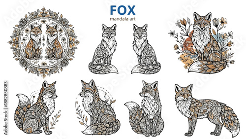a collection of fox illustrations showcasing intricate mandala art designs and various poses of the animal