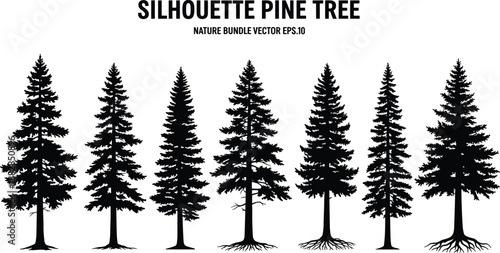 Pine tree silhouettes collection, evergreen conifer forest illustration, black nature shapes bundle, detailed fir tree vector set for landscape and outdoor design