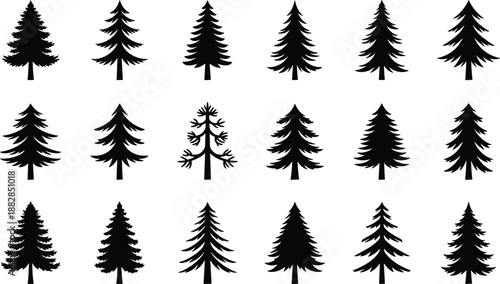 Pine tree silhouettes collection, evergreen conifer shapes set, minimalist black forest vector icons for winter landscape, nature design, maps, and outdoor graphic projects