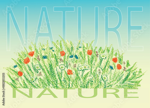 Vector background: a flower meadow with poppies, daisies, cornflowers, drawn in the style of colored pencils, pastels, the inscription 