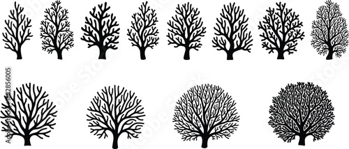 Bare tree silhouette set with winter branches, leafless forest collection, black nature icons for landscape design, autumn season, ecology illustration isolated on white.